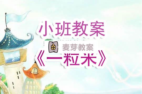 幼兒園小班教案《一粒米》含反思