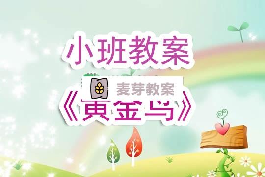 幼兒園小班教案《黃金鳥》