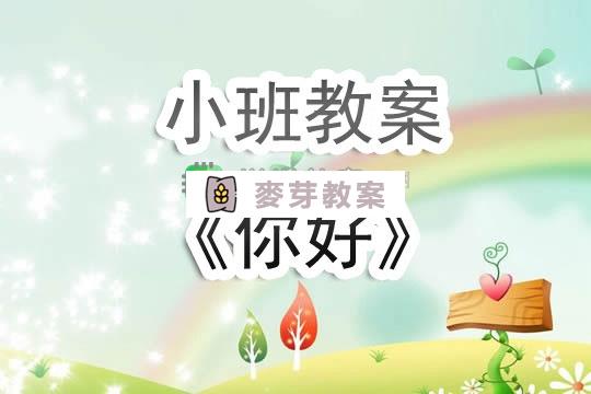 幼兒園小班教案《你好》含反思