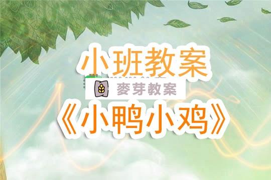 幼兒園小班教案《小鴨小雞》含反思