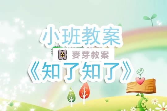 幼兒園小班教案《知了知了》含反思