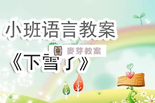 幼兒園小班語言教案《下雪了》含反思