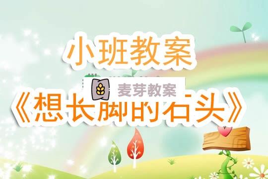 幼兒園小班教案《想長腳的石頭》含反思