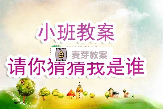 幼兒園小班教案《請你猜猜我是誰》含反思