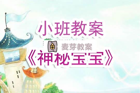 幼兒園小班教案《神秘寶寶》