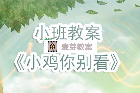 幼兒園小班教案《小雞你別看》含反思