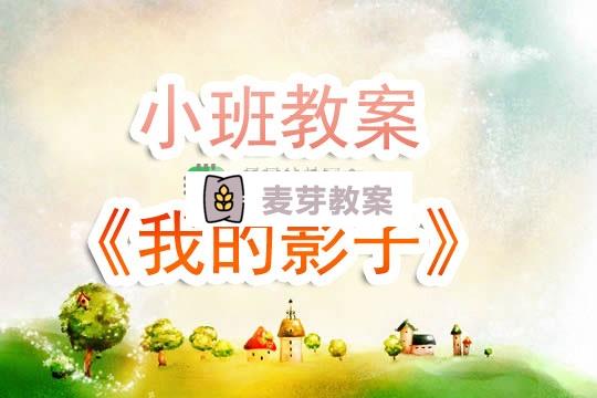 幼兒園小班教案《我的影子》含反思