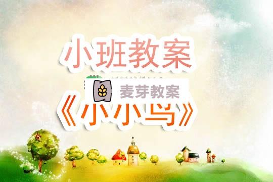 幼兒園小班教案《小小鳥》含反思