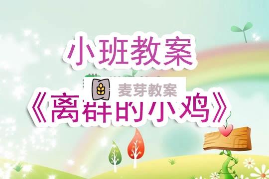 幼兒園小班教案《離群的小雞》含反思