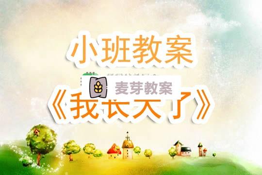 幼兒園小班教案《我長大了》含反思