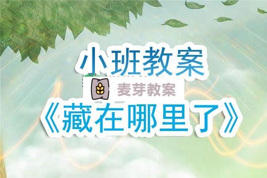 幼兒園小班教案《藏在哪裡了》含反思