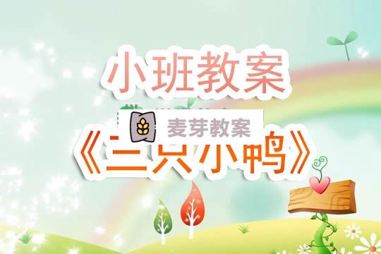 幼兒園小班教案《三隻小鴨》含反思