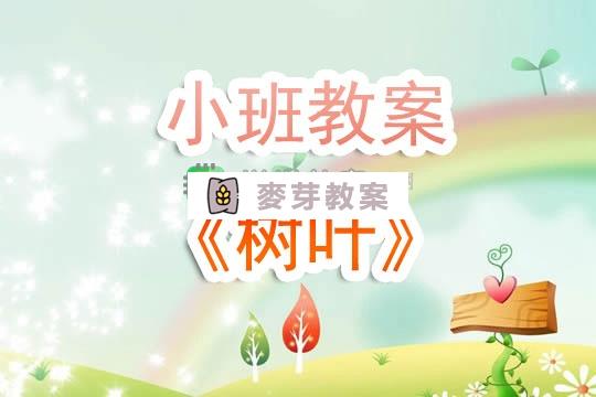 幼兒園小班教案《樹葉》含反思