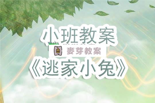 幼兒園小班教案《逃家小兔》含反思