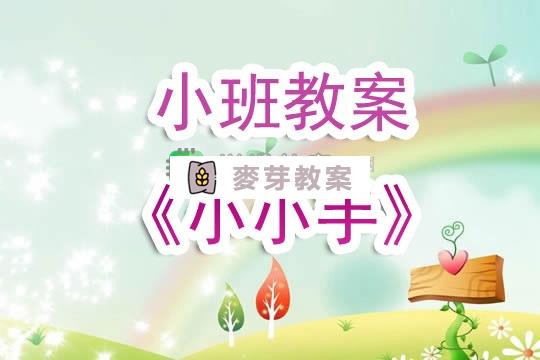 幼兒園小班教案《小小手》含反思