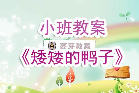 幼兒園小班教案《矮矮的鴨子》含反思