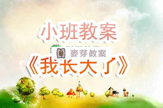 幼兒園小班教案《我長大了》