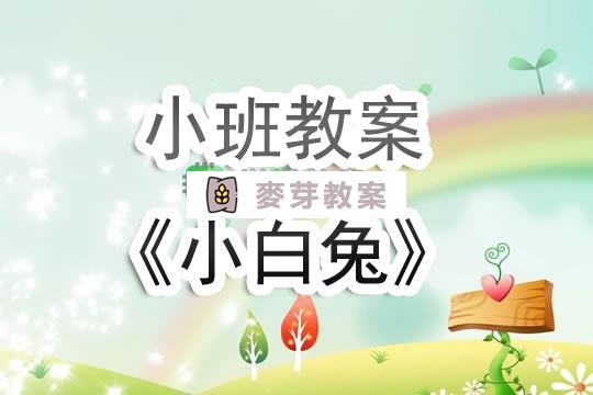 幼兒園小班教案《小白兔》