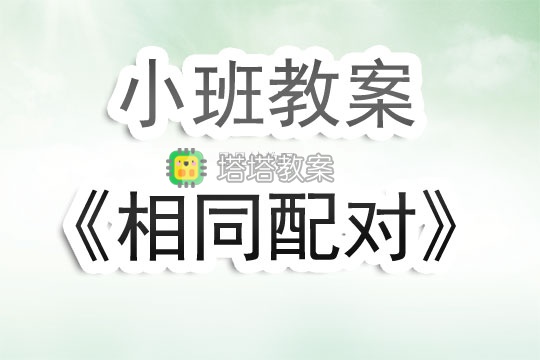 幼兒園小班教案《相同配對》含反思