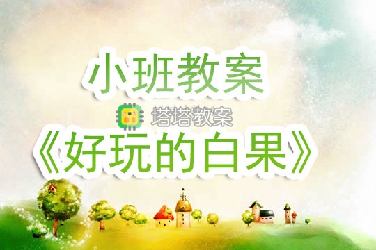 幼兒園小班教案《好玩的白果》